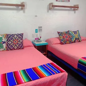 Apartment Beautiful & Cozy In Paradise-wifi, Ac