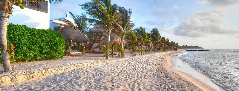 Hidden Beach Resort Au Naturel Adults Only Catamaran, Cenote & More Inclusive Akumal