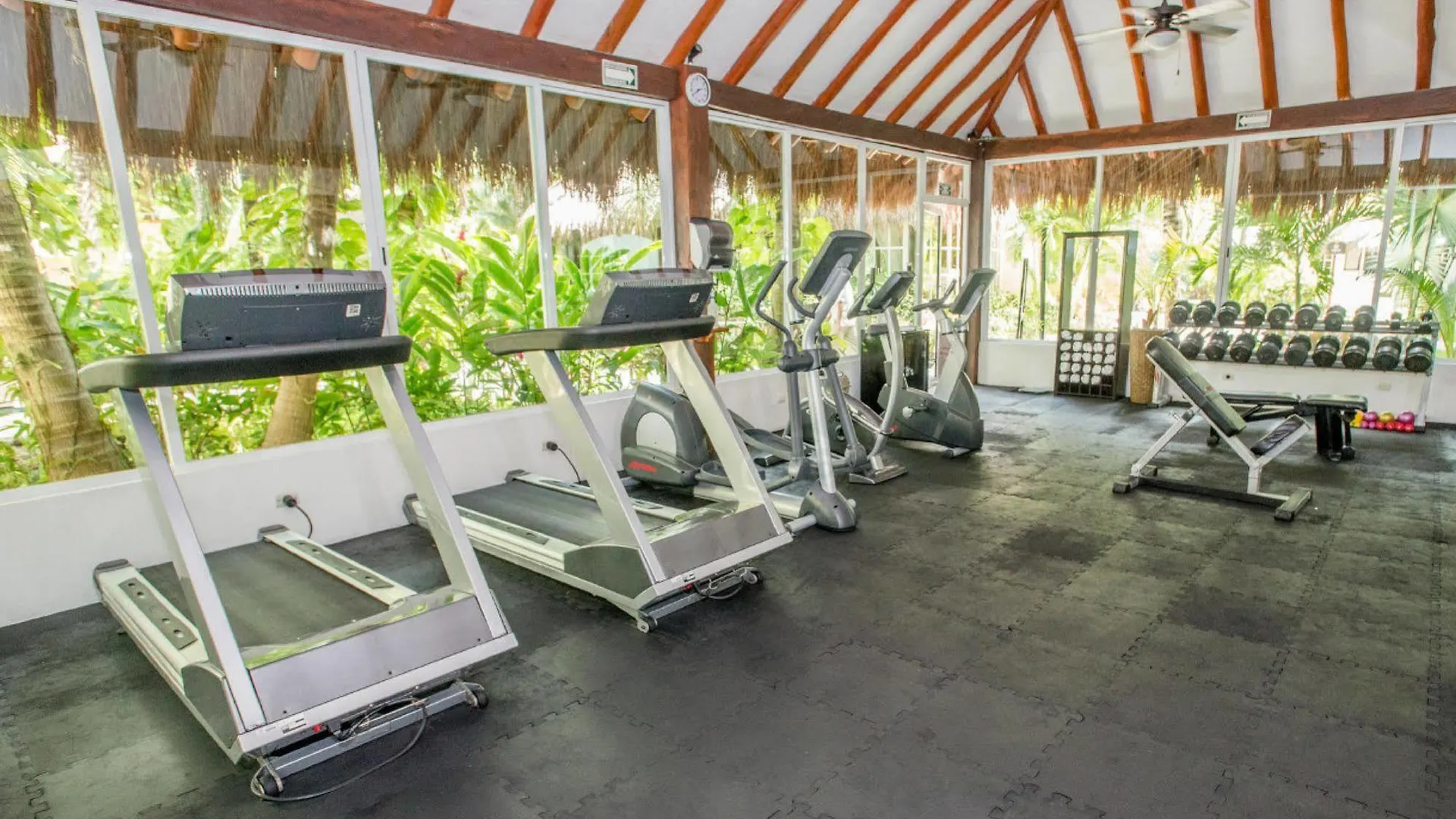 Hidden Beach Resort Au Naturel Adults Only Catamaran, Cenote & More Inclusive Akumal